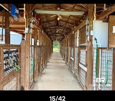 d384ba_06b62cacfa644ee68427889cfa5454e0~mv2